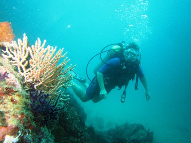 Buceo en Nayarit